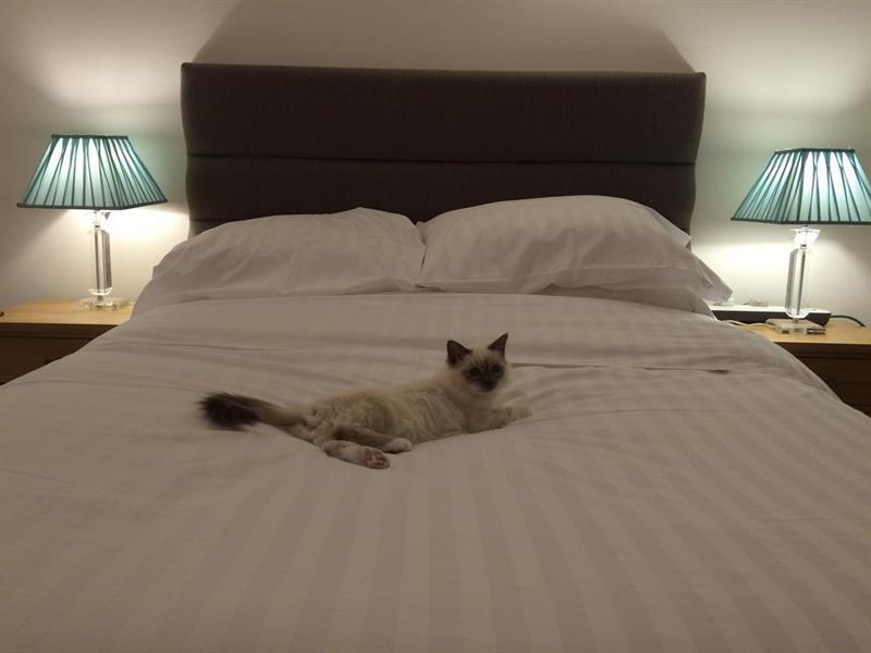 Oyo Oakcroft Guest House Manchester Airport Ringway Екстер'єр фото